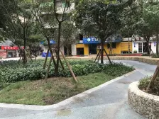 杨家坪 力扬国际二房100万