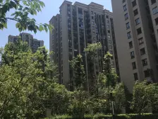 两路空港 金科空港城二期三房90万