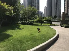 冉家坝 华瓯理想城二房