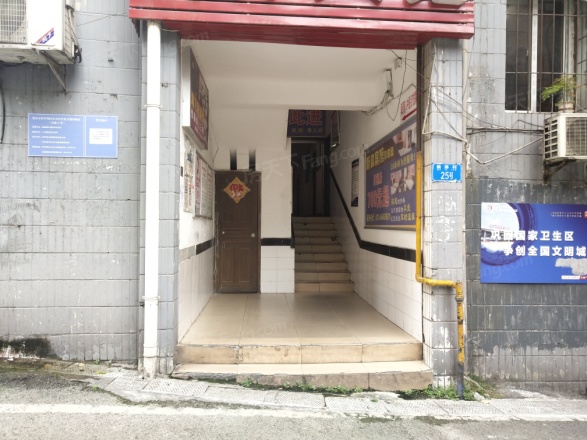 新体村