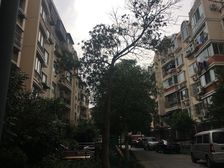 近地铁,随时看房刚需上车现场实勘新上房源