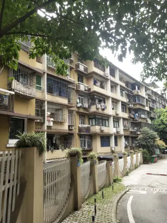 新体村