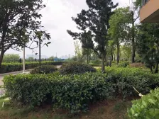 花样年华精装三房拎包入住人车分流