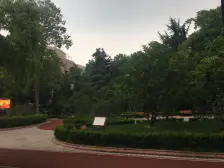 普陀区桃浦桃浦五村1室1厅