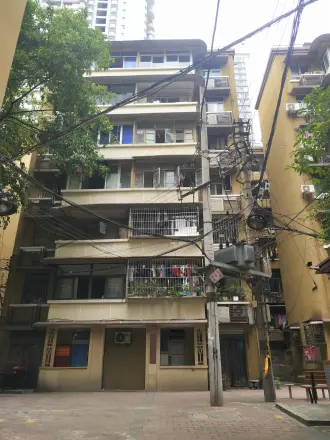 新体村