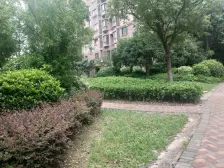 次新房,凤凰楼层,全明户型诚心出售!