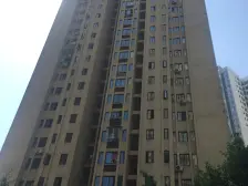 南滨路大鱼海棠公园,两房,户型方正。