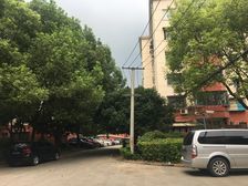 好房 双南 满五唯one 近地铁 视野好