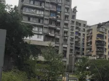 树Ren房子近轻轨近公交,三角碑转盘,装修好