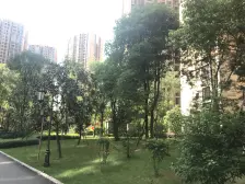 轻轨站旁次新小区,出门及公园商圈