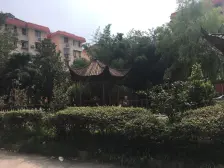 桃浦四村易居紫荆苑 2室2厅 南 北