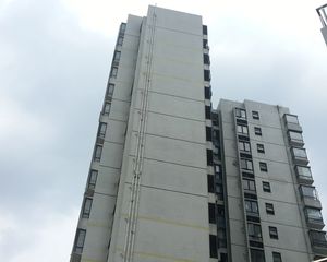 桂城平洲映月湖康怡花园电梯,中间楼屋