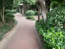 飞机户型,南北通透,不靠藴川公路,小区中间位置