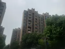 一梯四户,品质小区,精装修,精装好房