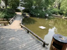 2011年电梯南北两房,低楼层方便出行,小区环境好