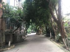 海棠名居 3室2厅 南