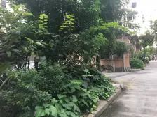 太浜巷小区 1室1厅 南 北