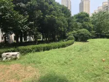 品质小区,环境优美,居家装修,诚意出售