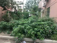 内环边+镇坪路3.4.7号线+中楼层+总价低+诚意卖