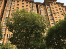 带露台,带产权车位 产权清晰,精装 拎包入住 店长力推