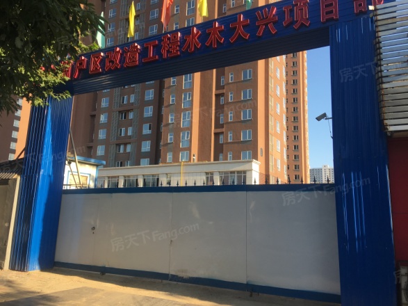 水木大兴