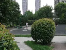 电梯房,随时看房,无抵押 新上房源