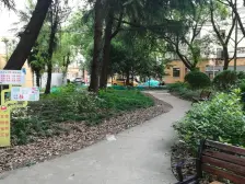 长桥·长桥四村·1室·1厅