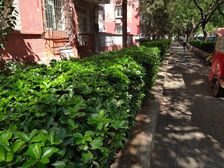 东大桥·关东店·2室·1厅