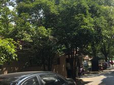 七宝·金泰公寓·4室·2厅