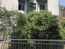 太升大厦3室1厅东南
