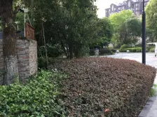 朗庭上郡苑(公寓) 2室1厅 东 南