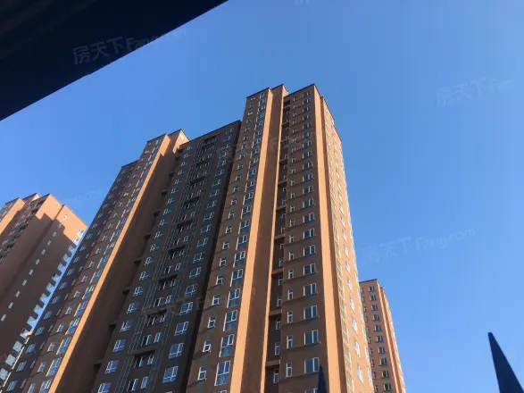 水木大兴