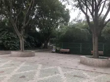月厦新天地 1室1厅 北