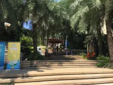 龙湖精装修单配 中间楼层 位置安静 领包入住