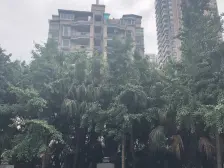 此房户型方正 装修好 采光通风好
