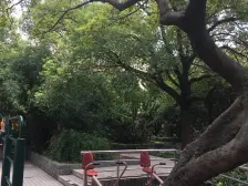 长宁区精品小区!环境美车位充足!低楼层看房随时!