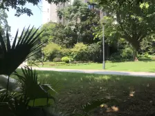 龙头寺 招商花园城馨园一房