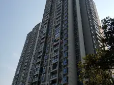 南坪 精装3房 装修保持好 高楼层采光好 配套成熟