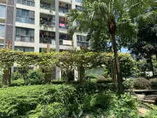 石桥铺居家一房,成熟配套,拎包入住