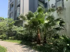 石桥铺双轻轨旁,业主换房急售,精装小户型,看公园