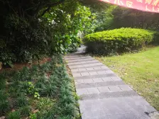 绿地海怡公寓 1室2厅 南 北