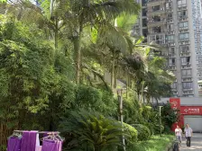 高新区 渝洲新城三房76.5万