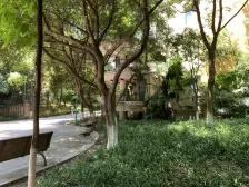 石桥铺广场旁 经典户型带歇台子制标 精装 出门双轻轨