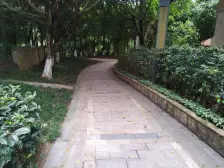 洋房带花园,带地下室,带车位,精装,朝中庭,