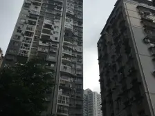 新桥新都 2室1厅 西南 西 北