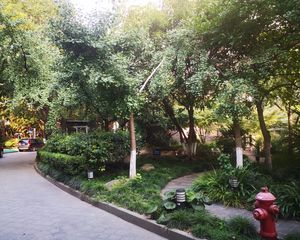 内环内房龄新通透全明一房两厅竞品少必看必卖