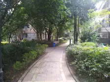 同天绿岸 花园洋房 4室2厅 带家具家电