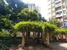 精装四房,户型方正采光好,双轻轨小区门口就是公交站