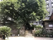 大坪 大坪正街三房