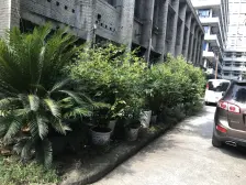 大坪正街正规两房85平,急卖